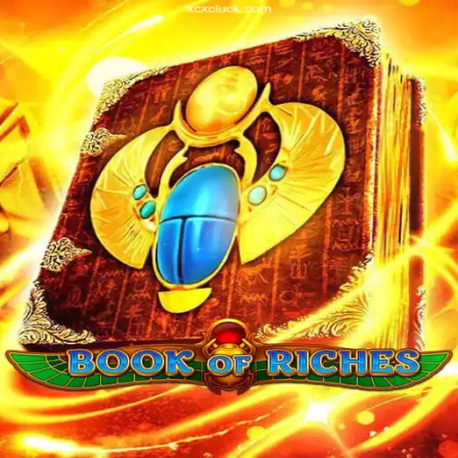 Exploring the Engaging World of BookofRiches